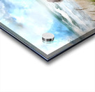 Dogone Good Beach Day Acrylic print