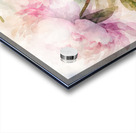 Peonies Watercolor Acrylic print