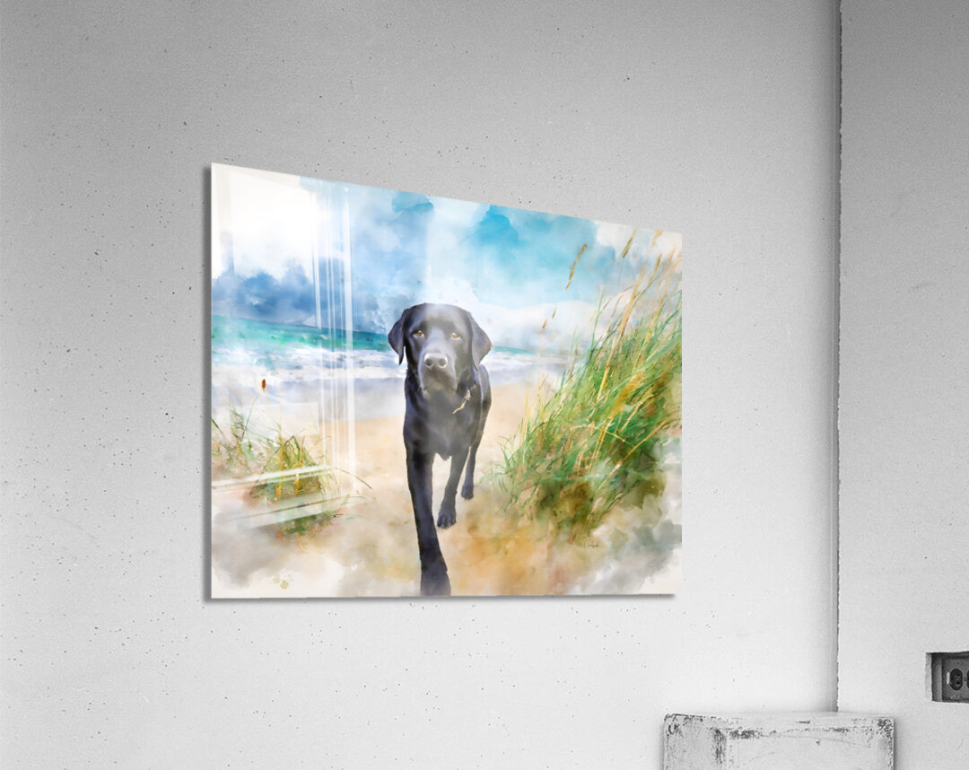 Black Lab Living His Best Life Acrylic Print
