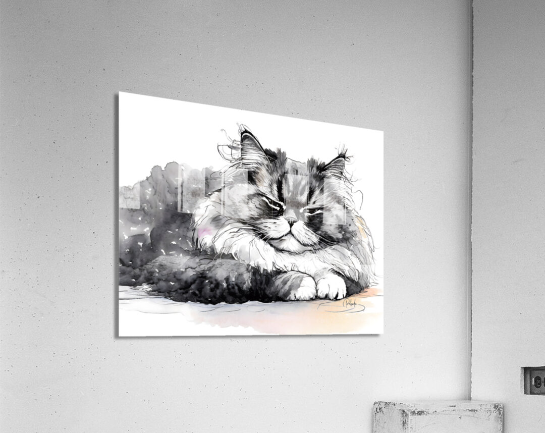 Time For A Nap Acrylic Print