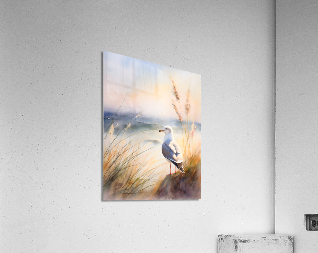 Seagull Perch Acrylic Print