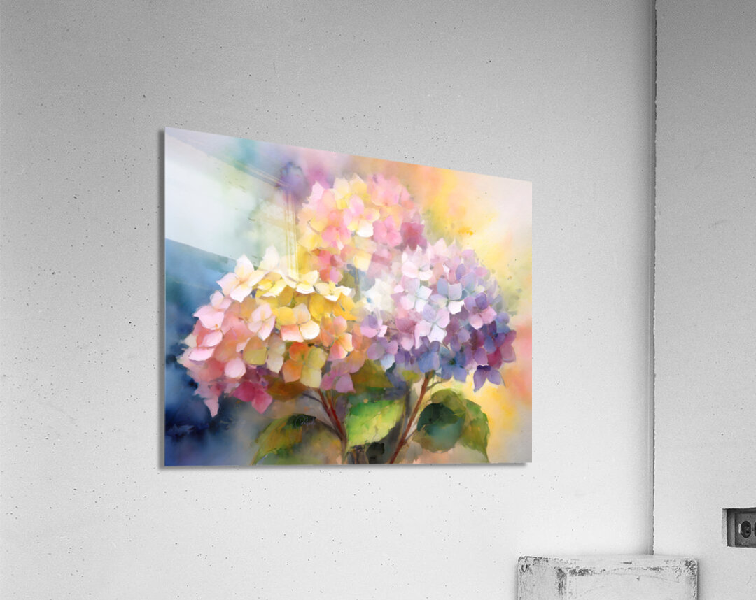 Hydrangea Blooms Acrylic Print