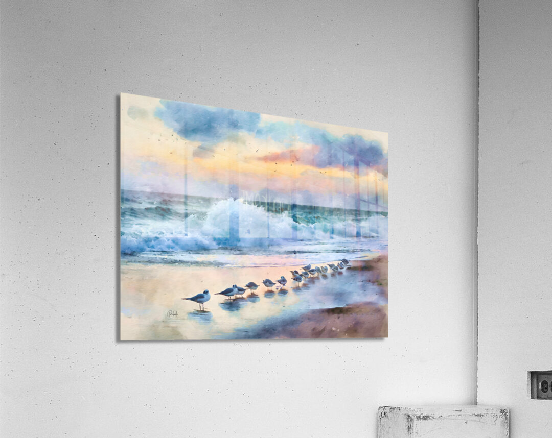 Sanderlings Along The Shore Acrylic Print