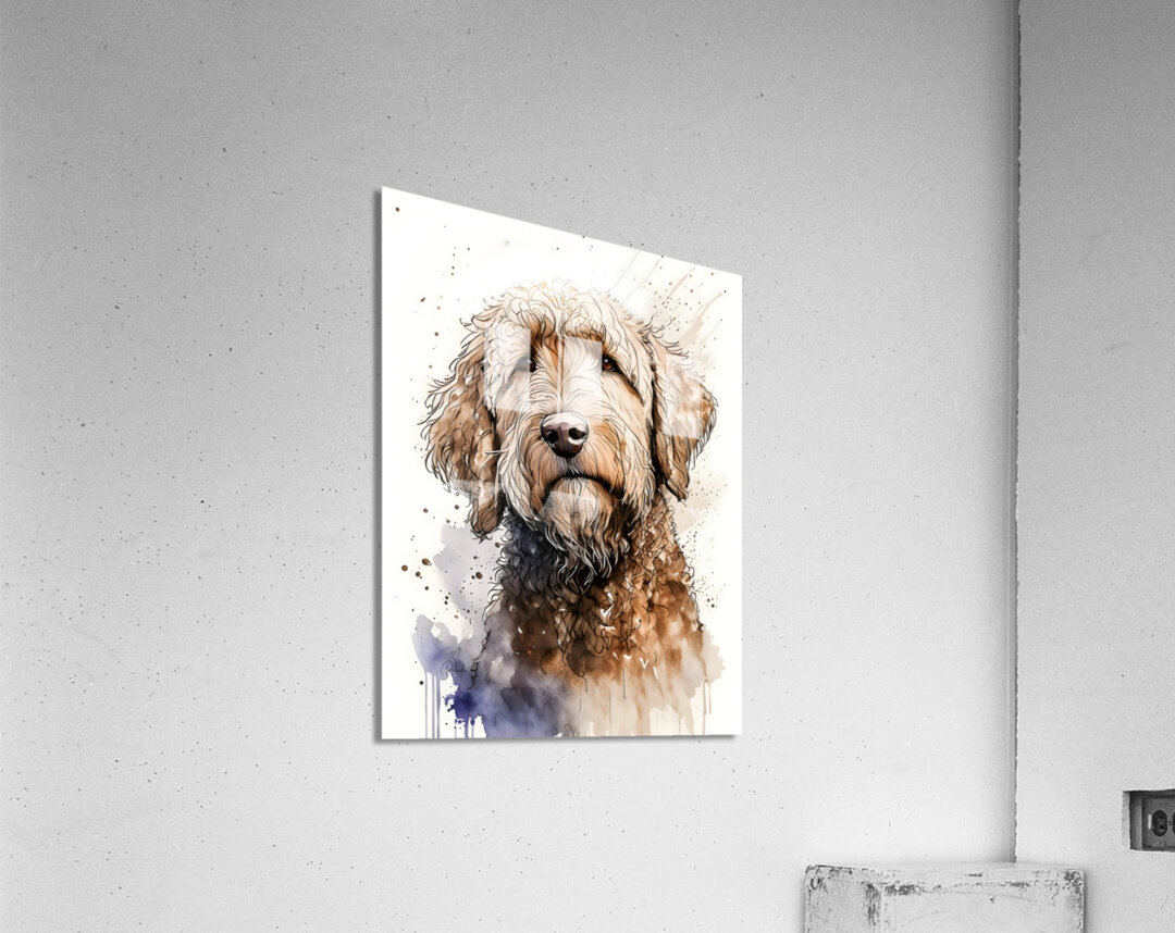 Oscar Boy II Acrylic Print