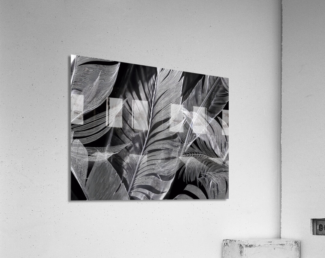 Shades of Night Tropics I Acrylic Print