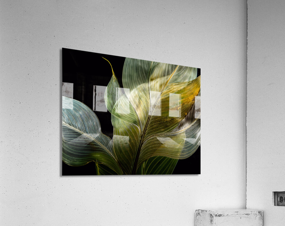 Tropical Leaves on Black Acrylic Print