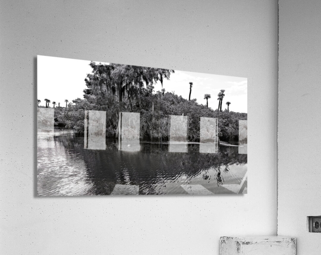 Find The Turtle Acrylic Print