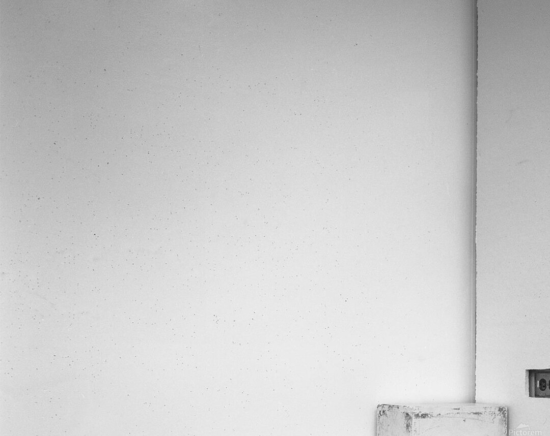 Geometric Bamboo Acrylic Print