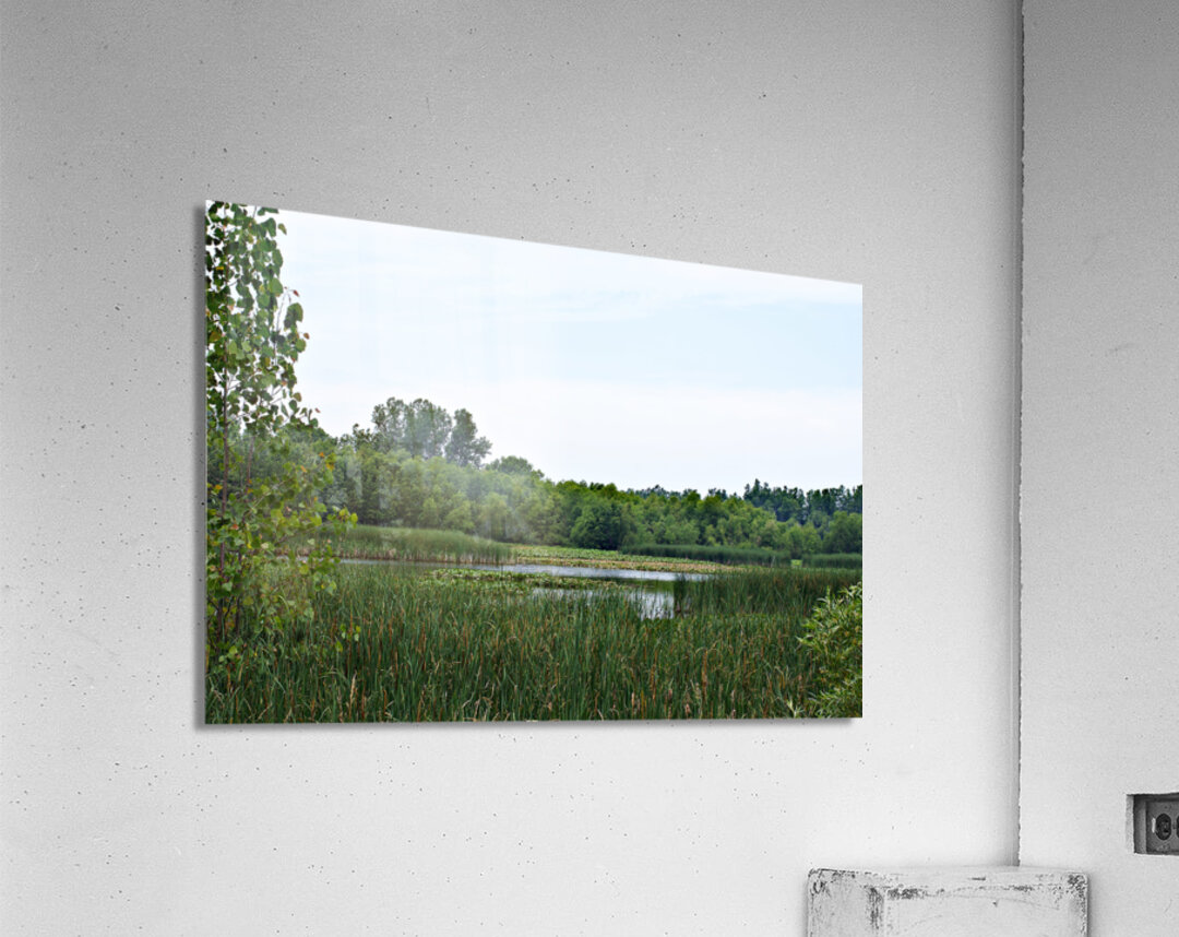 Natural Serenity Acrylic Print