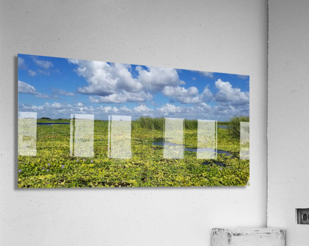 Blue Cypress Lake II Acrylic Print