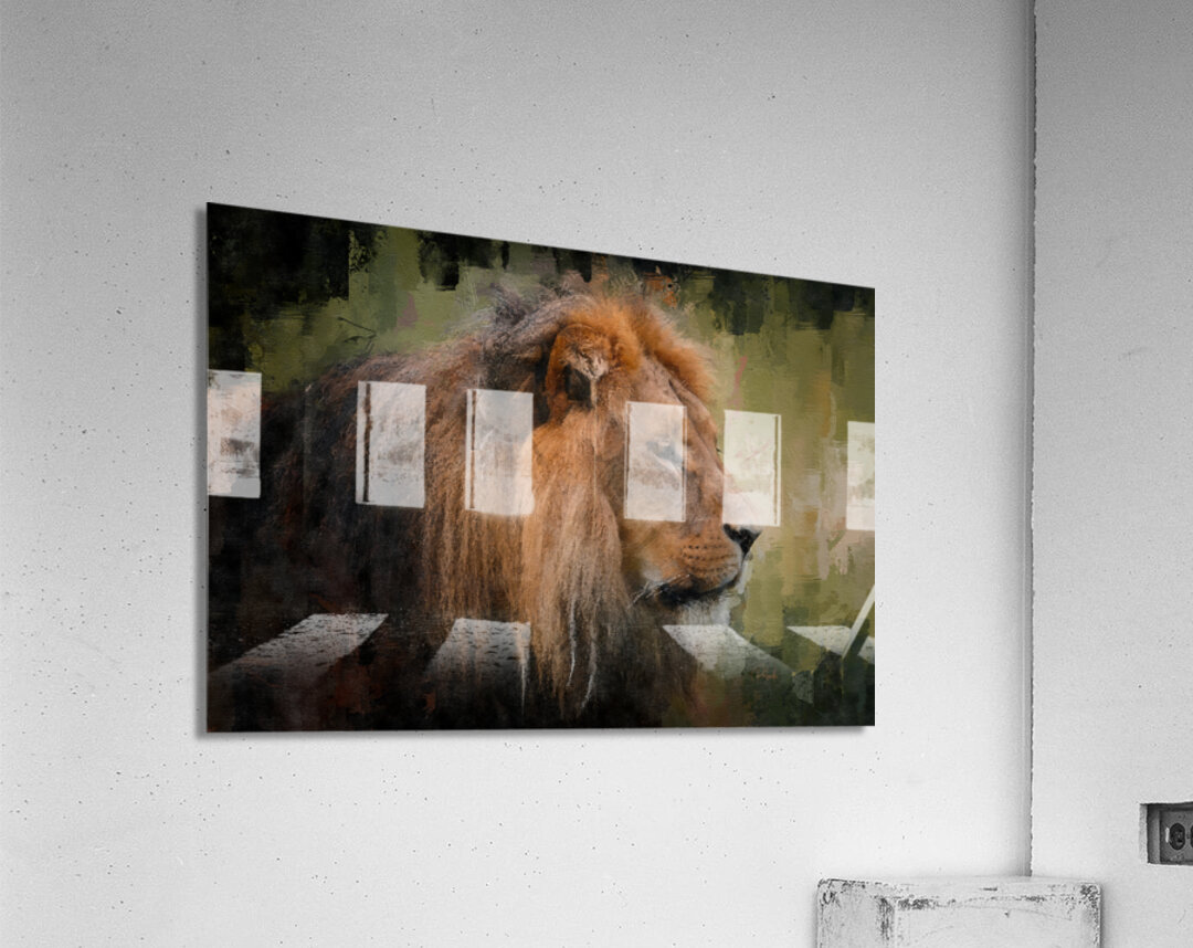The Lion The King Acrylic Print
