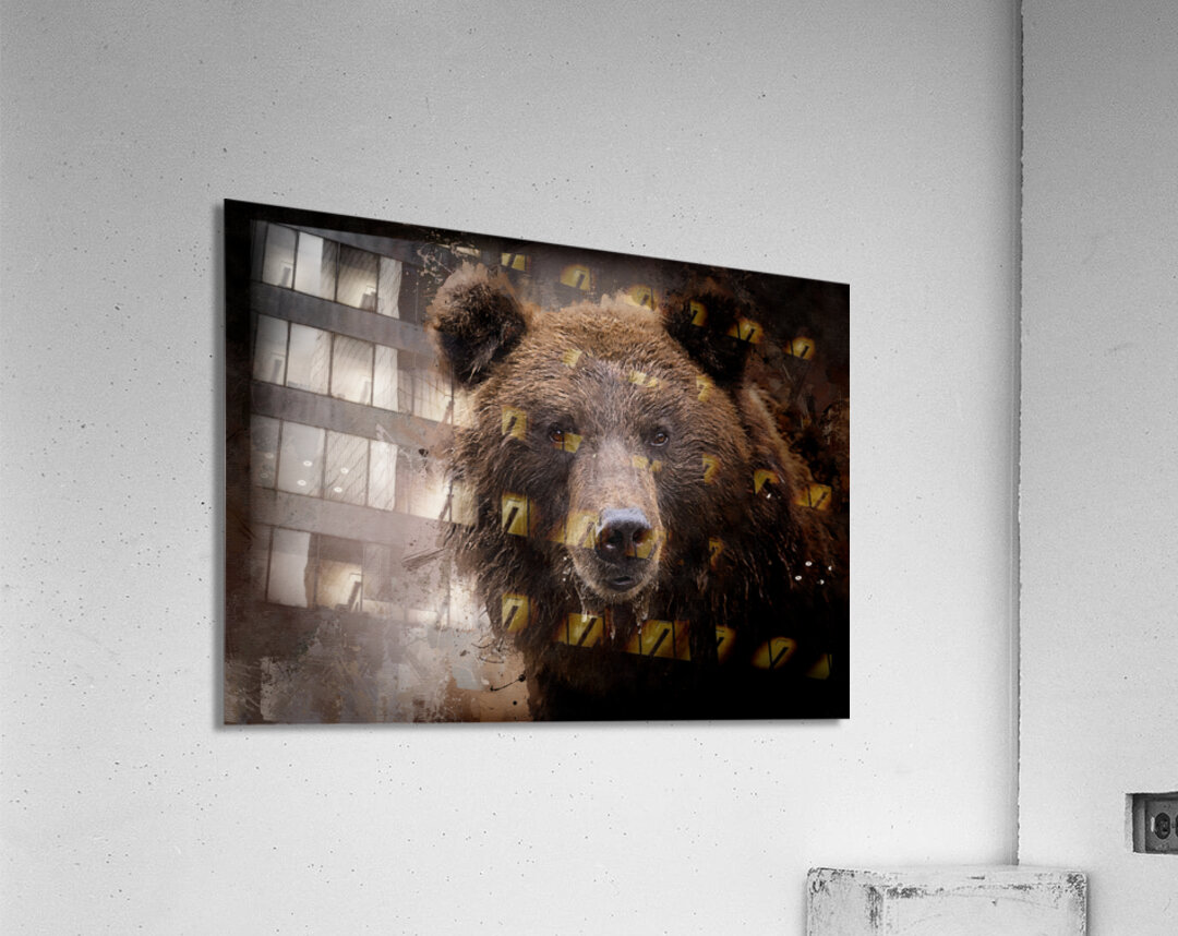 North American Brown Bear Acrylic Print