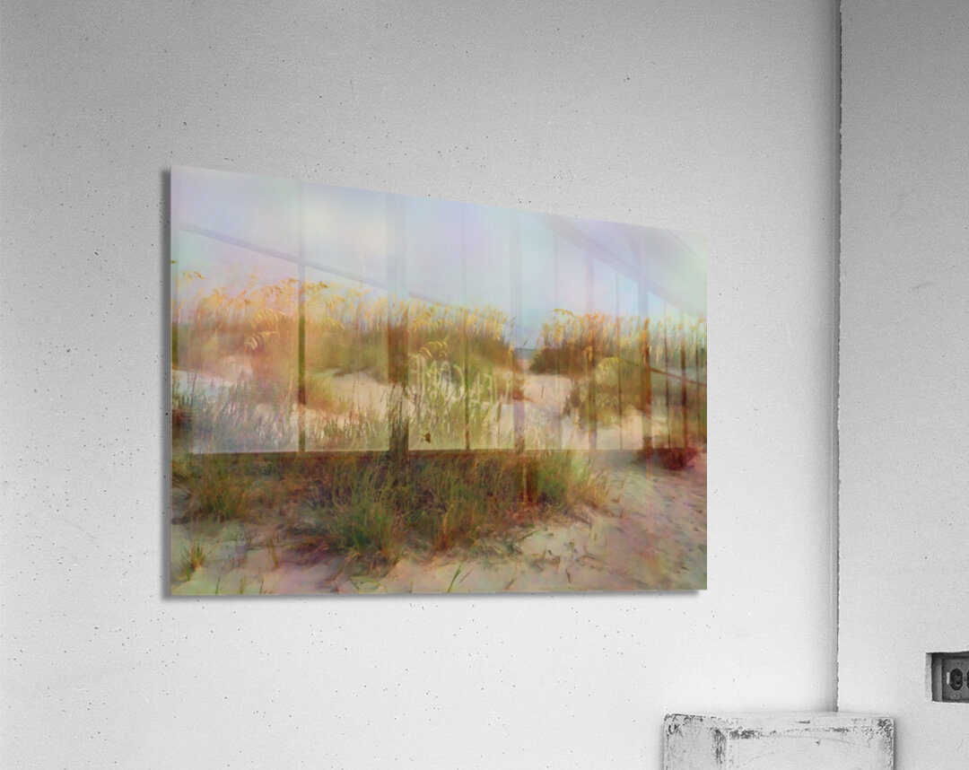 Florida Sand and Sea Oats Acrylic Print