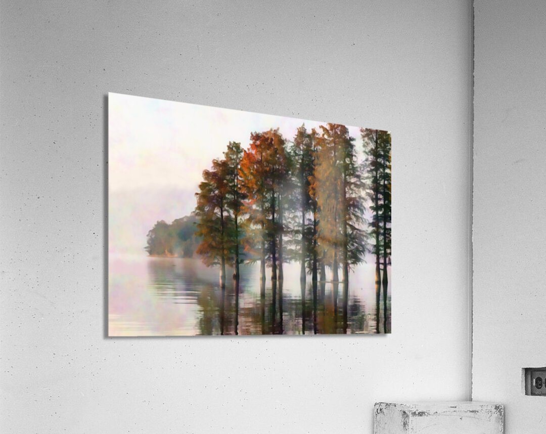 Cypress Trees On The Water Acrylic Print