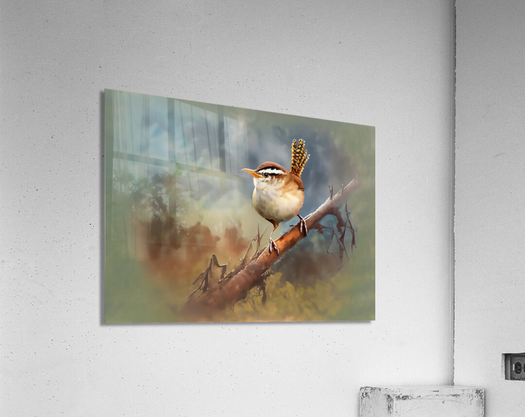 Sweet Carolina Wren Acrylic Print