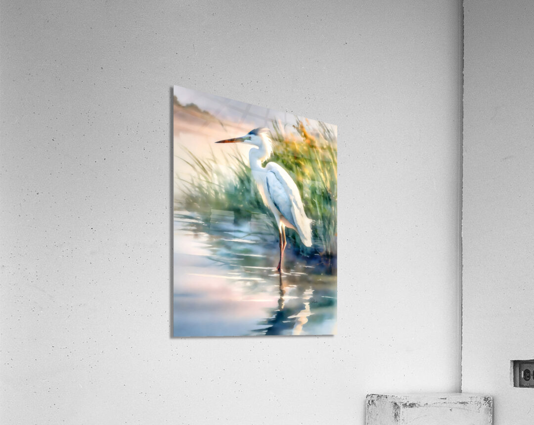 Egret Pose Acrylic Print