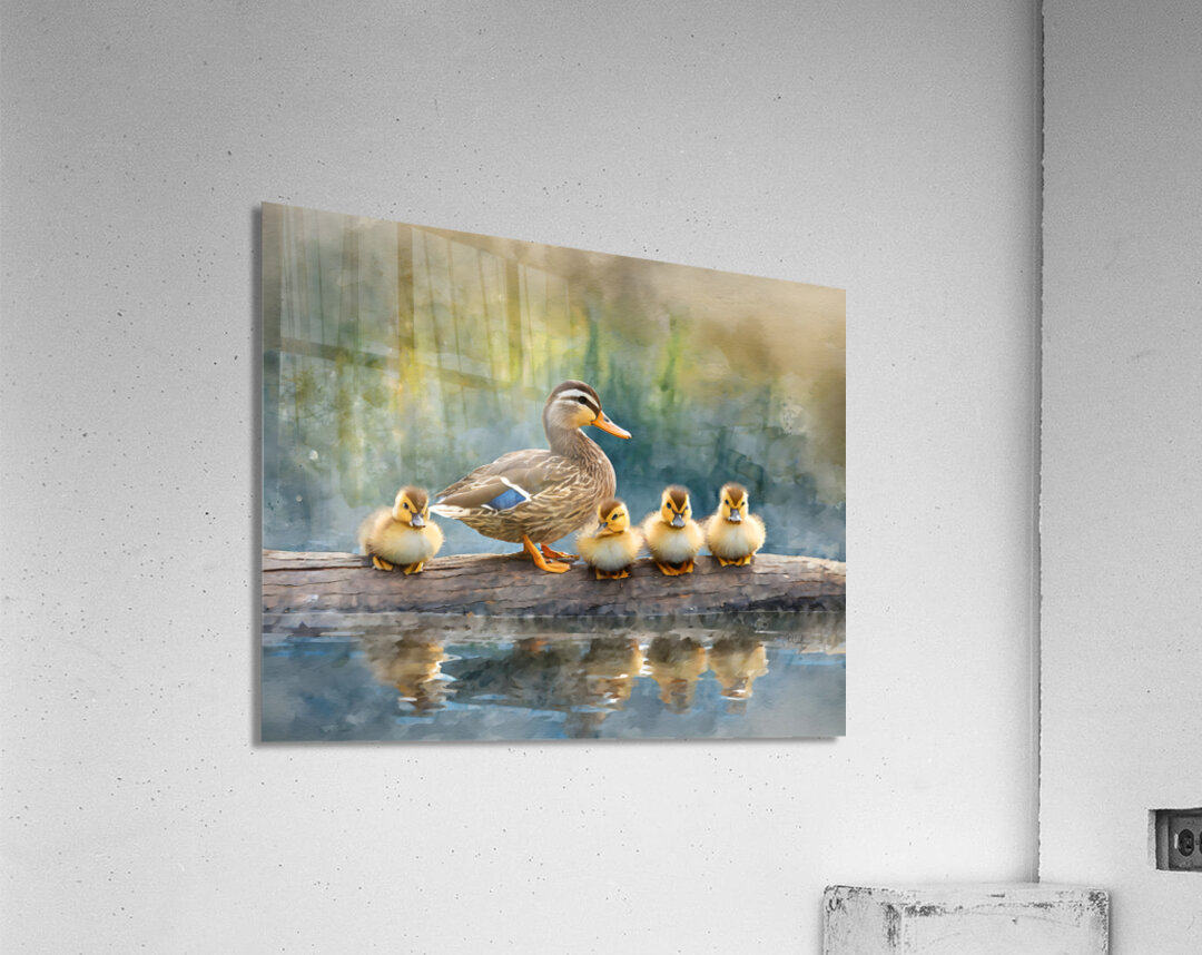 The Mallard Family Portrait Acrylic Print