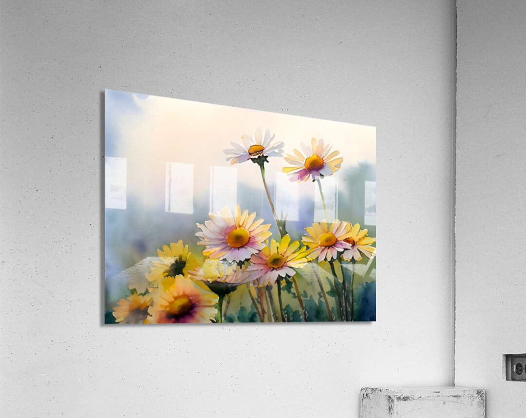 Barberton Daisies Watercolor Acrylic Print