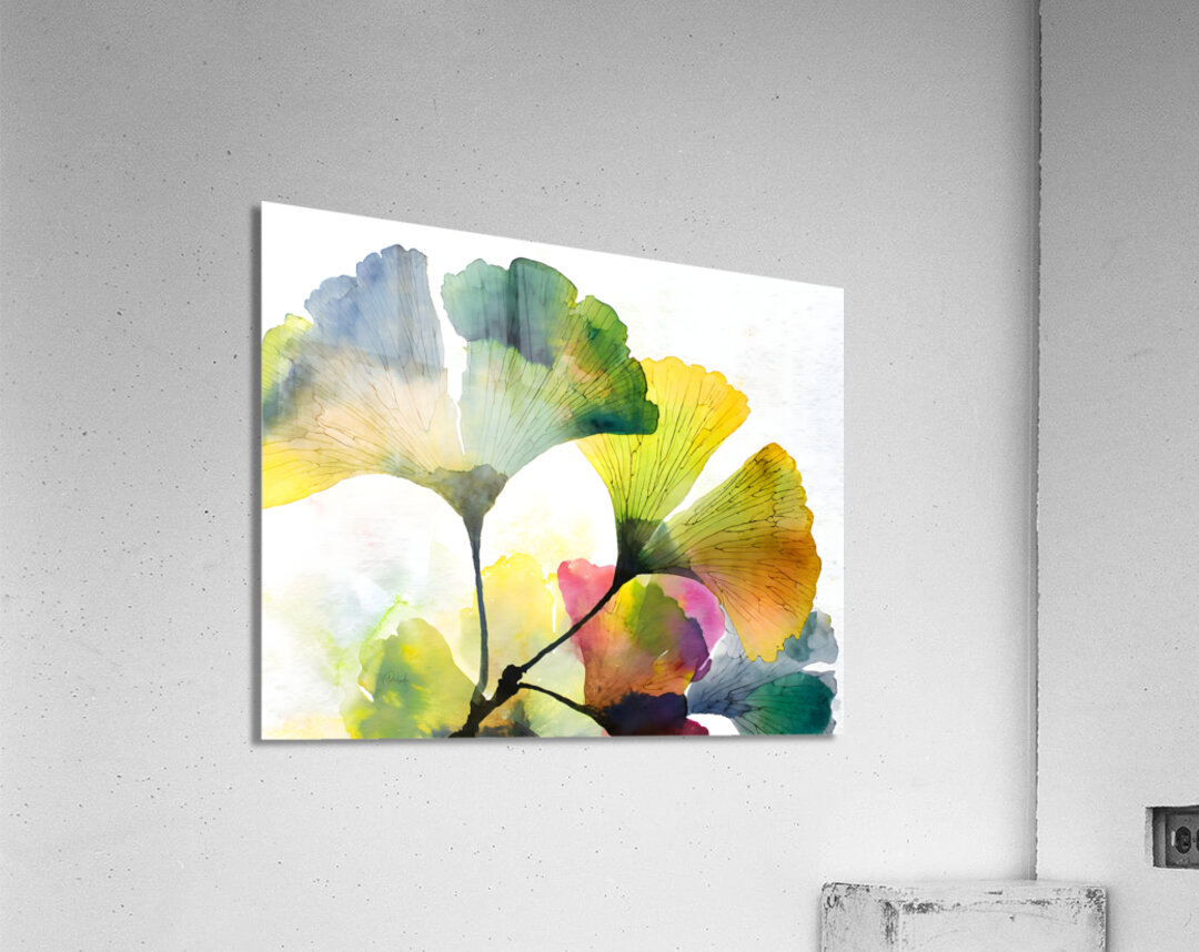 Ginkgo Biloba II Acrylic Print