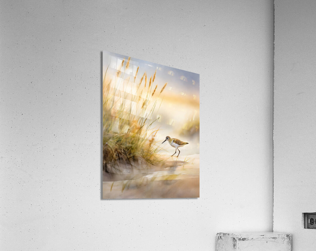 The Sandpiper Shoreline Acrylic Print