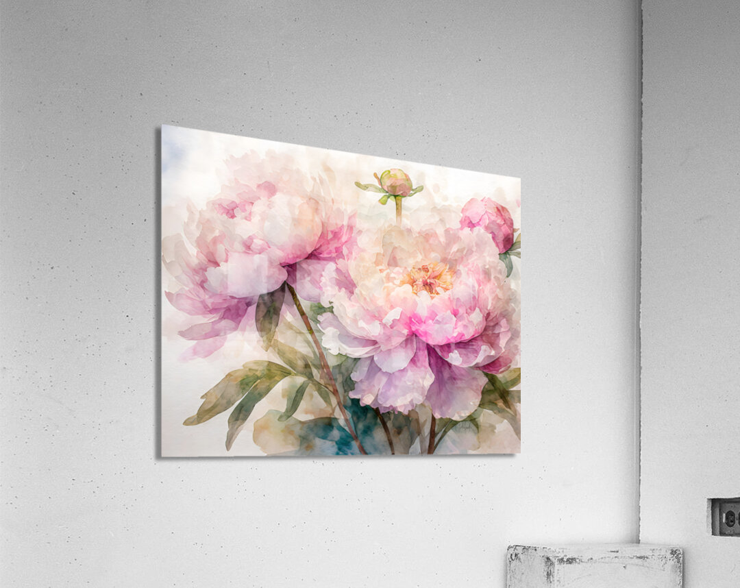 Peonies Watercolor Acrylic Print