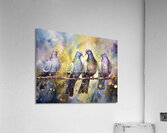 Pigeon Party  Acrylic Print