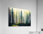 Fir Tree Forest  Acrylic Print