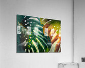 Philodendron Fronds I  Acrylic Print