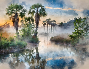 Bayou Sunrise Reflections