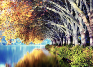 Birch Leaf Reflections