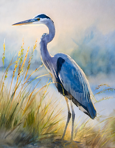 Blue Heron Beachside