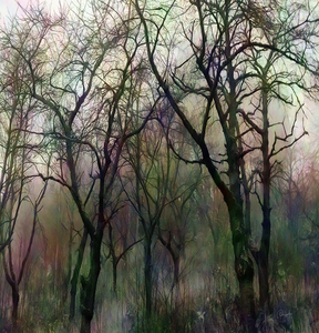 Finding Winter Colors