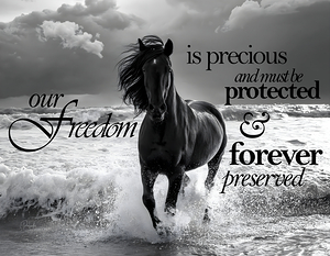 Freedom Horse