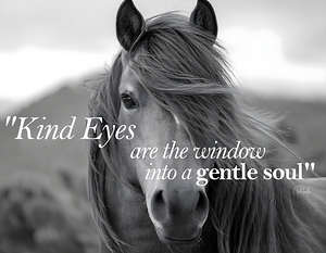 Kind Eyes