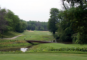 Of Geese and Golf at Sawmill Creek
