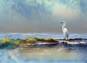 Rain At The Tidal Pool