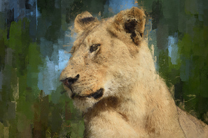 The Kings Mate and Lioness Portrait