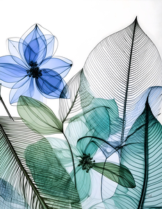 Tropical Patterns II