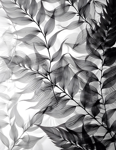 Tropical Tranparencies IV