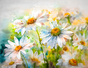 Watercolor Daisies