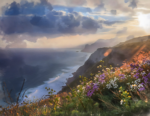 Wildflowers Above the Sea