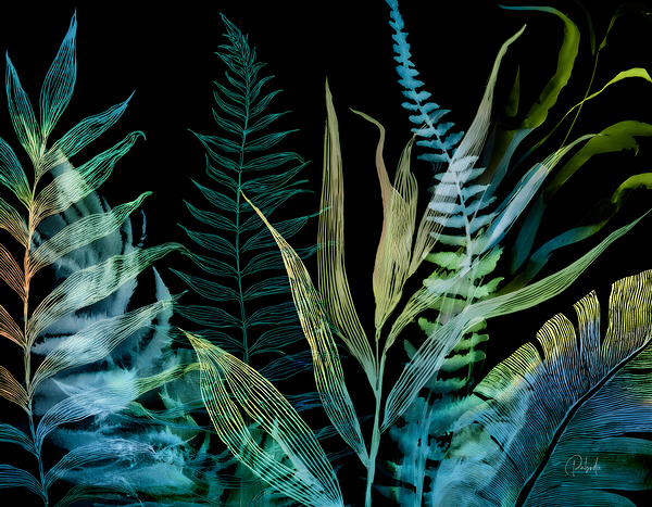 Night Tropics Digital Download