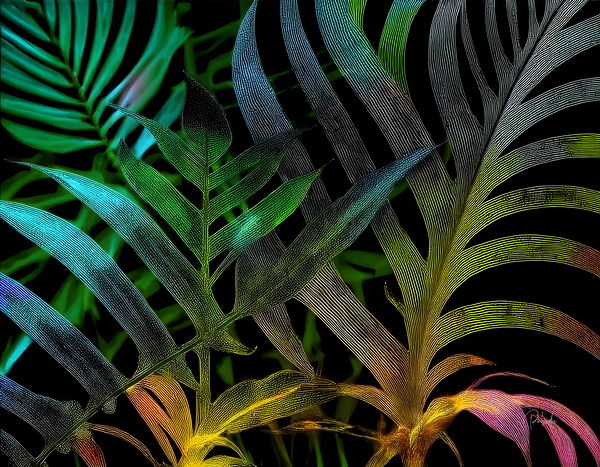 Tropical Leaves At Night Print