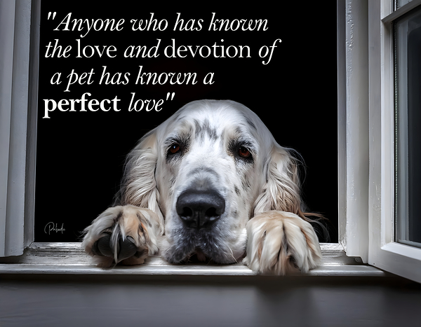 A Perfect Love Print