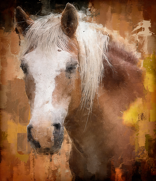 Beautiful Palomino Horse by Pabodie Art