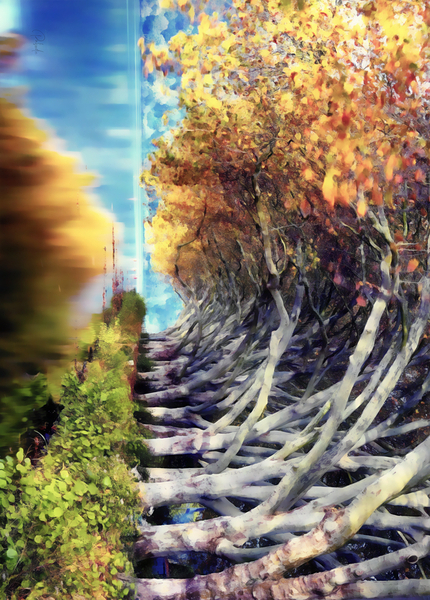 Birch Leaf Reflections Digital Download