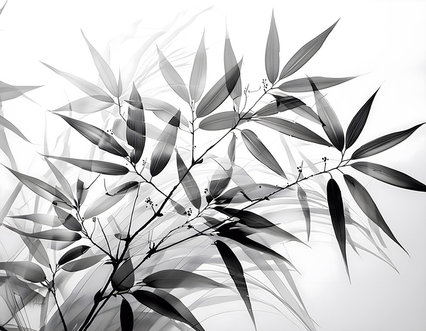 Black and White Bamboo Digital Download