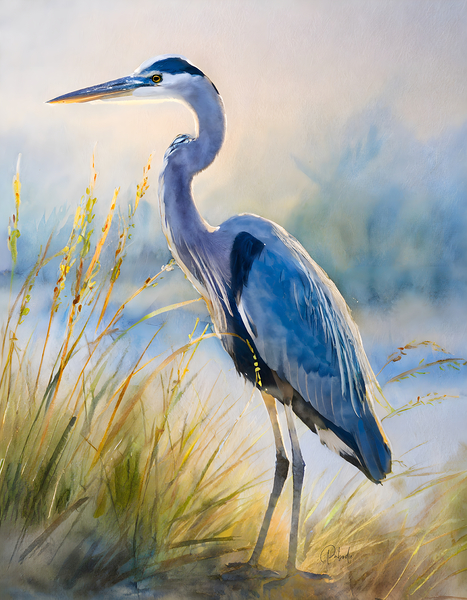 Blue Heron Beachside Print
