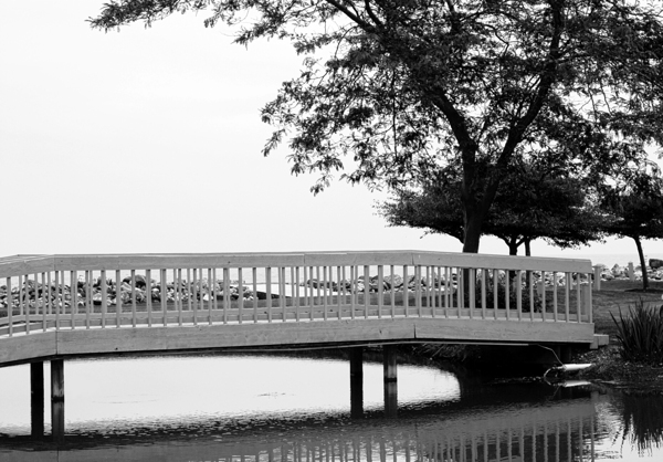 Sawmill Creek Wooden Bridge Print