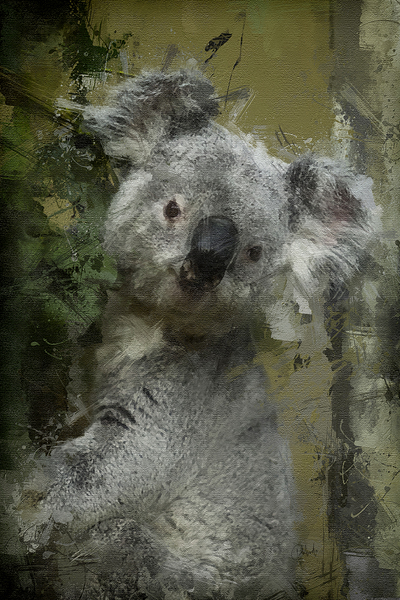 Climbing Koala by Pabodie Art